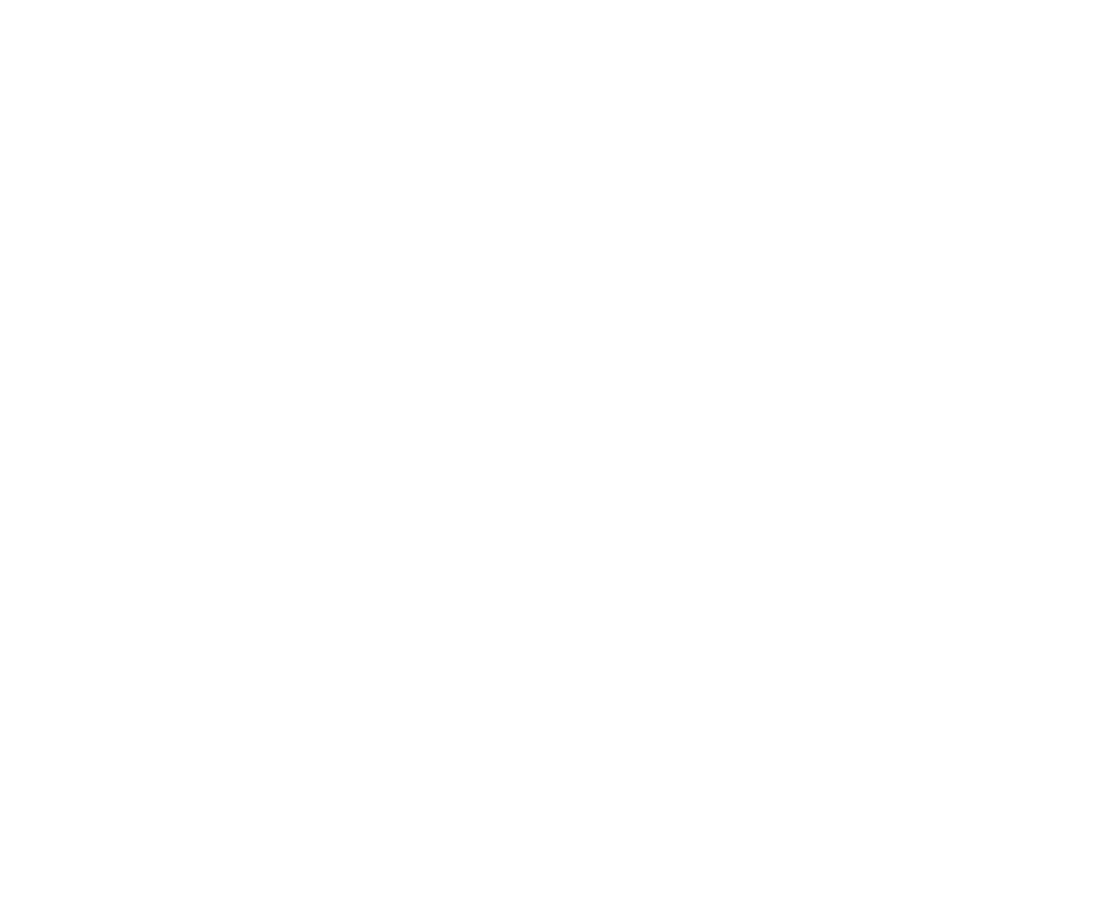 Logo del film